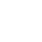 DFSK - Logo